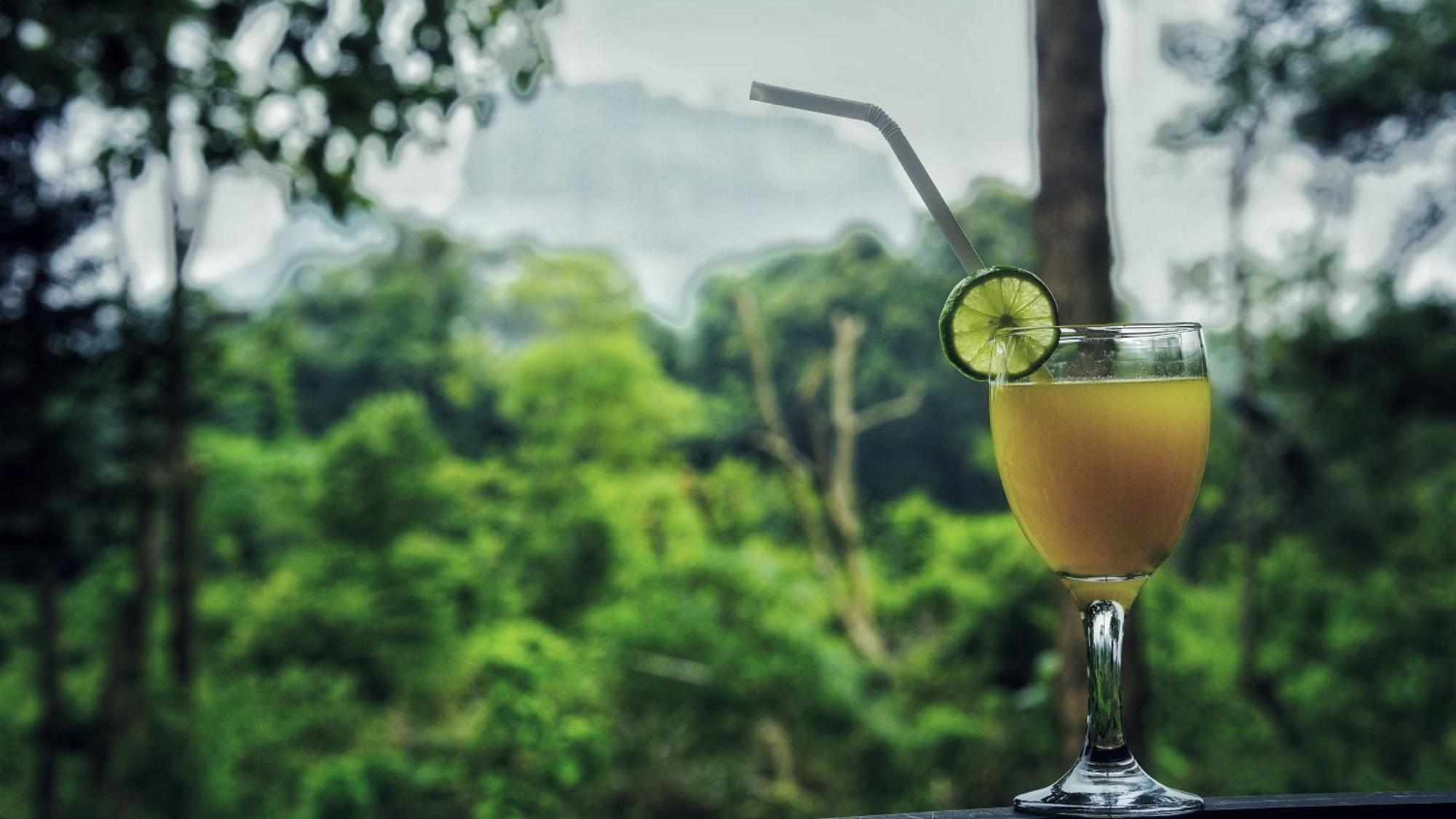 Sigiri Saat Cabana Sigiriya Buitenkant foto