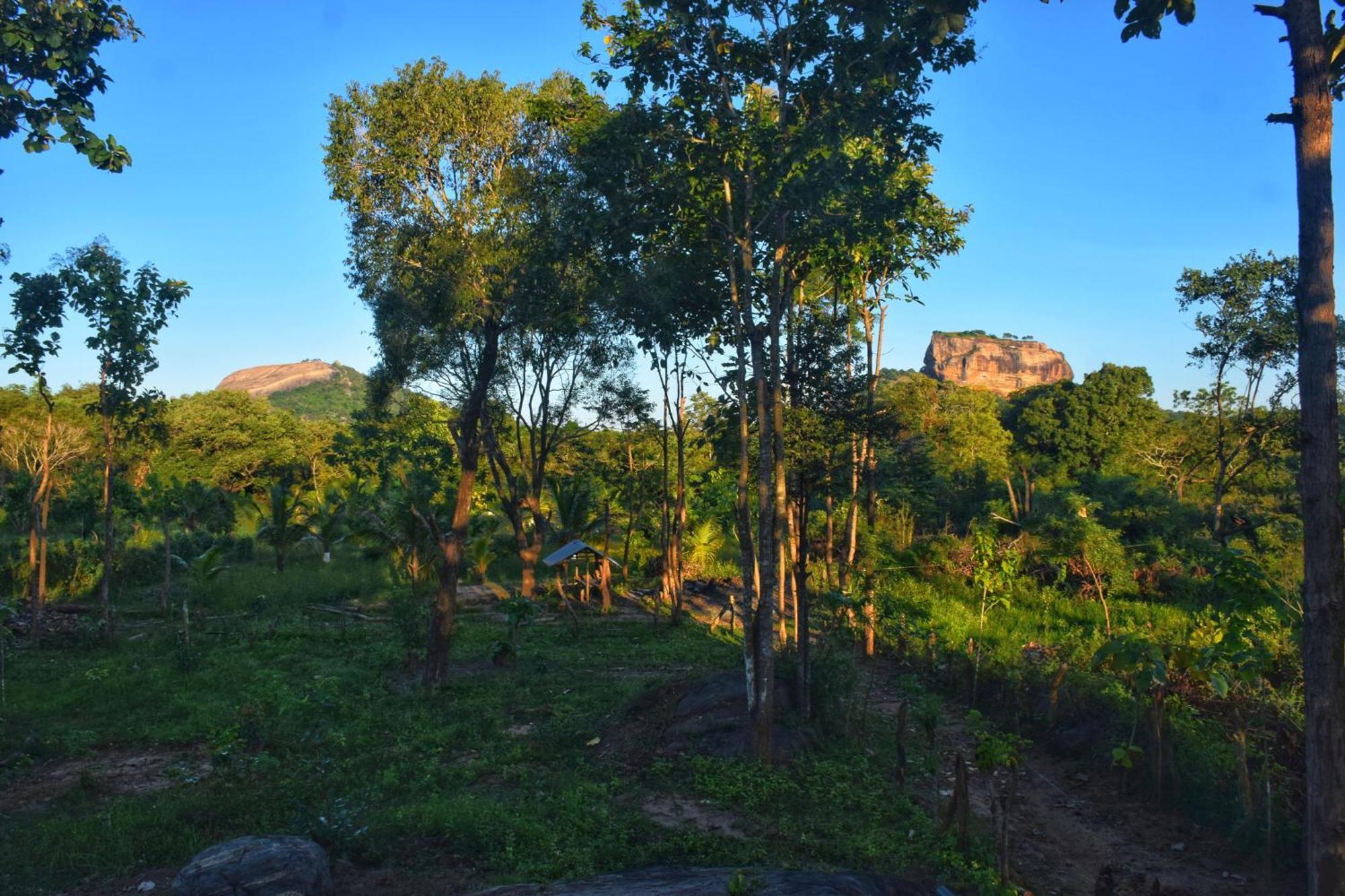 Sigiri Saat Cabana Sigiriya Buitenkant foto