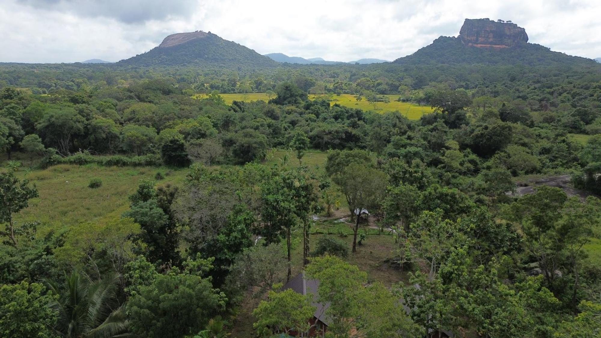 Sigiri Saat Cabana Sigiriya Buitenkant foto