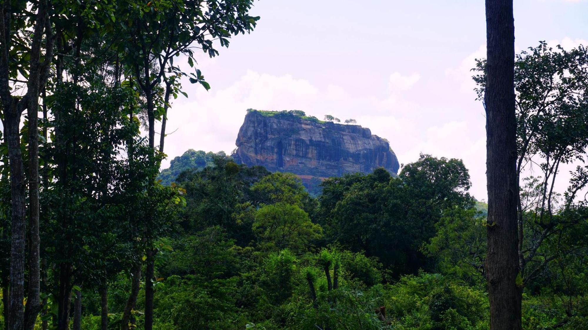 Sigiri Saat Cabana Sigiriya Buitenkant foto